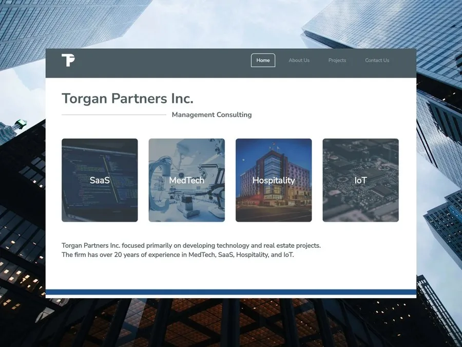 torgan partners inc. website homepage